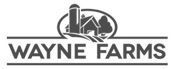 Logo Wayne
